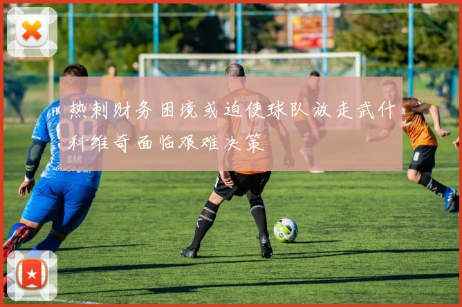 热刺财务困境或迫使球队放走武什科维奇面临艰难决策